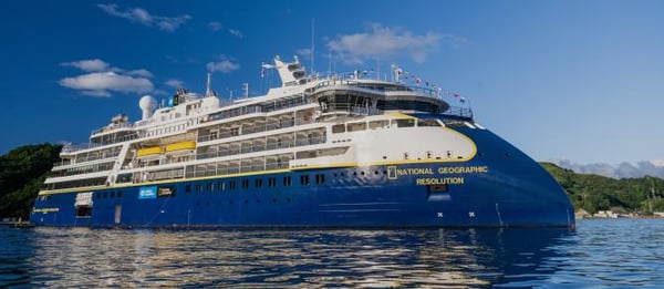 Realm of Penguins & Icebergs